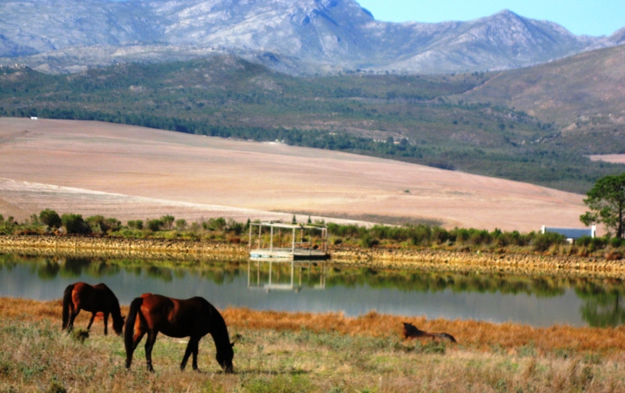 3 Bedroom Property for Sale in Maremmana Estate Western Cape